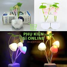 Đèn Ngủ Cảm Ứng Ánh Sáng, Tự Động Bật Tắt, Tiết Kiệm điện, Đèn Trang Trí, Đèn Phòng Ngủ, kiểu dáng siêu cute Store