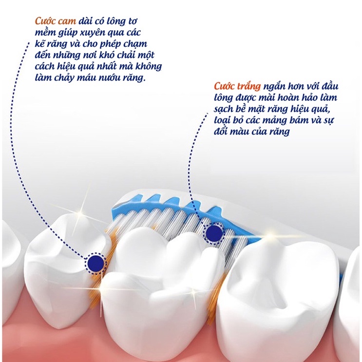 Vỉ Đôi Bàn Chải Đánh Răng Trisa Pro Interdental Bàn Chải Đánh Răng Cước Lông Tơ Siêu Mềm