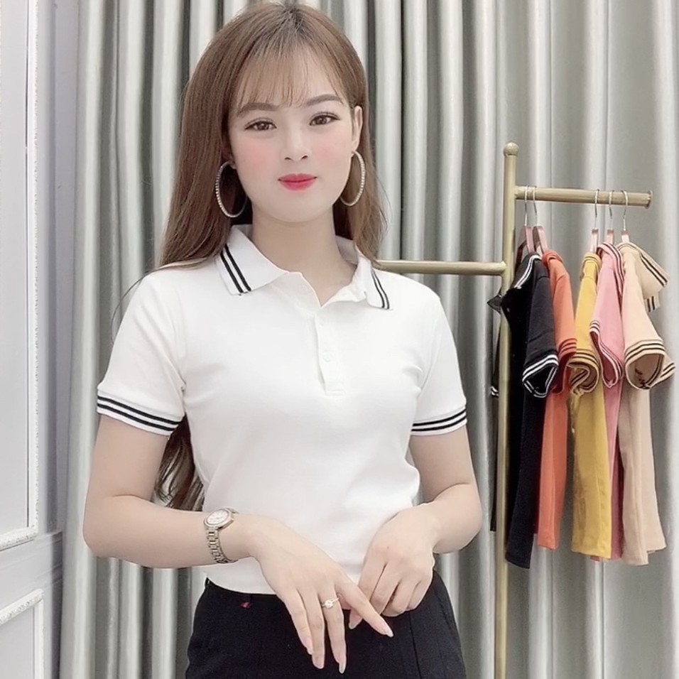 áo polo cộc tay cổ bẻ nữ, áo thun cotton ngắn tay, áo phông trơn basic A1 - Suzy Store