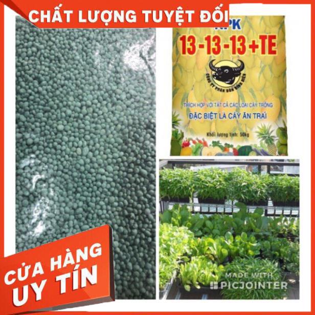 1 kg npk Đầu Trâu 13 13 13 TE giá rẻ hàng tốt nhất