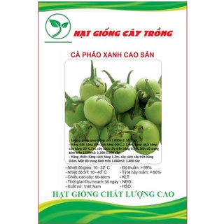 Hạt giống cà pháo xanh cao sản ct268 - gói 0.5gram
