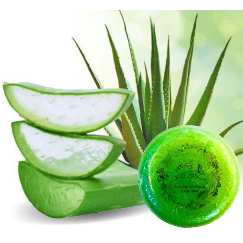 XÀ BÔNG NHA ĐAM HANDMADE NHÀ BỘT