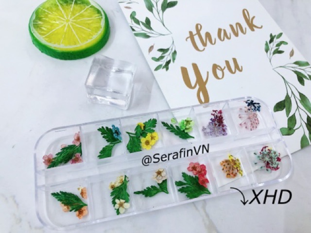 HOA KHÔ LÀM NAIL - ĐẮP ẨN - ĐẮP GEL NHIỀU KIỂU