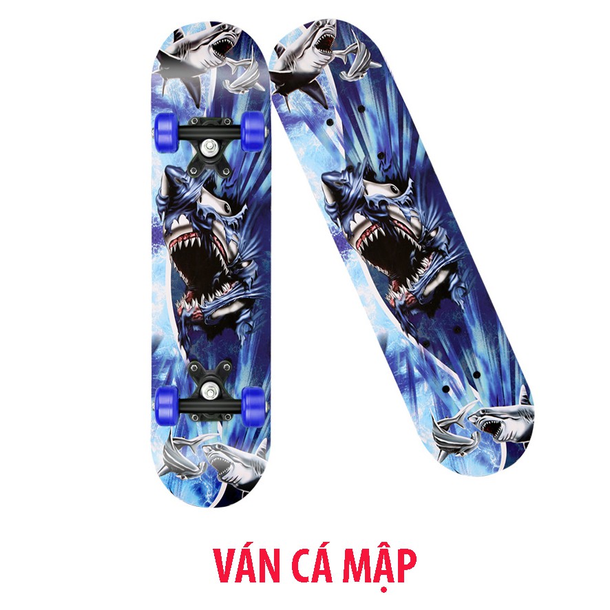 Ván Trượt Skateboard Thể Thao Gỗ Phong Ép 7 Lớp