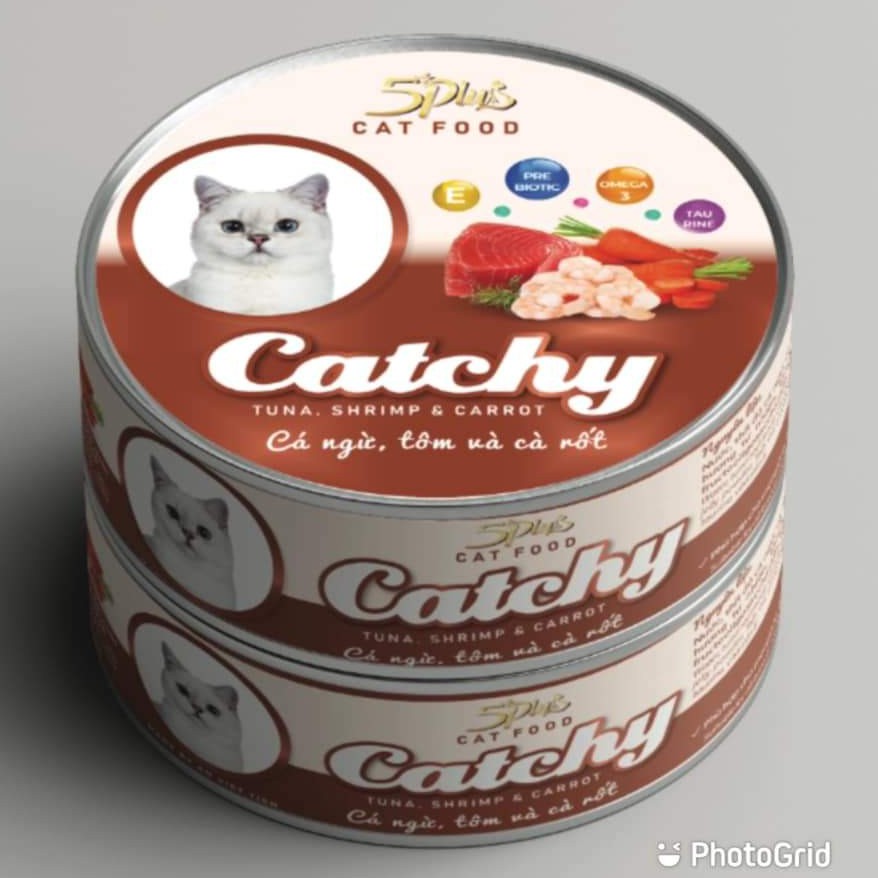 Pate lon dạng thạch 170gr Catchy 100% Thịt Thật Nhiều Vị