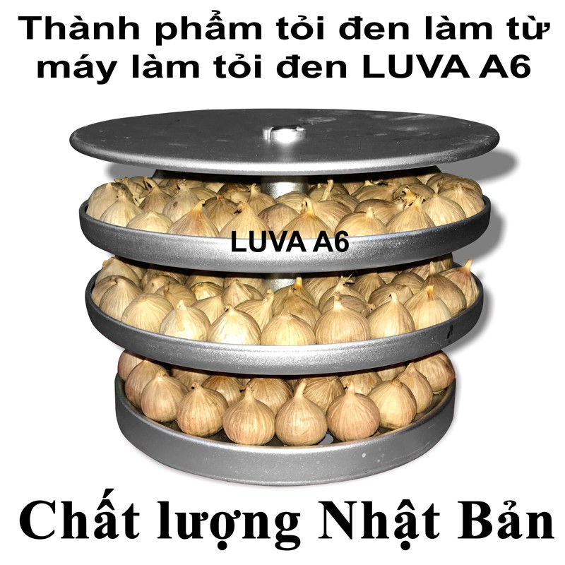 Máy Làm Tỏi Đen [ FREESHIP Toàn Quốc ]  CN Nhật Bản – LUVA A6 Cao Cấp [Tặng túi tỏi đen cô đơn 100g loại 1 giá 250K]