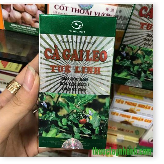 Cà Gai Leo Tuệ Linh Hộp 20 viên - Giải độc gan, Giải độc rượu, Bảo vệ gan