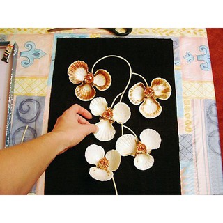 01 kg vỏ ngao thiết kế handmade