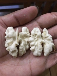 Óc chó tươi Lai Châu