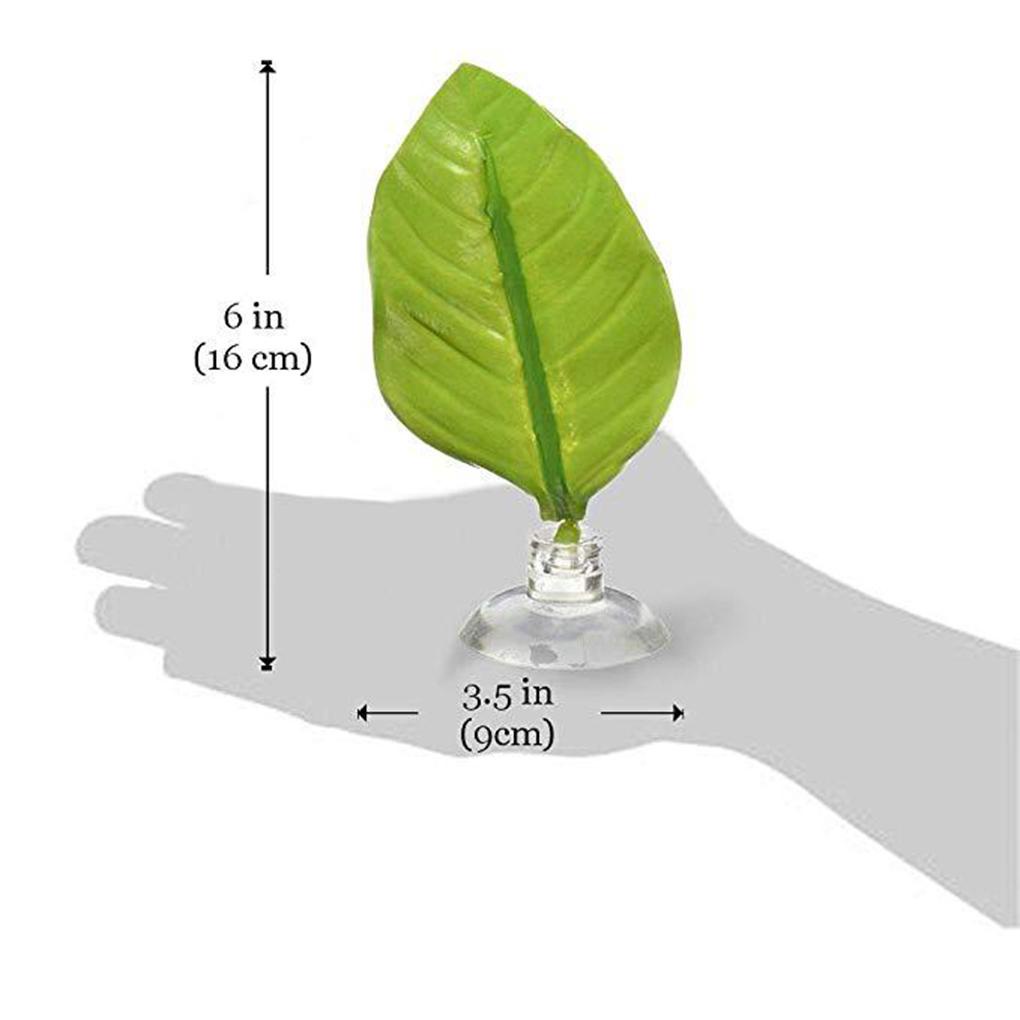 Võng Nghỉ Cá Một Lớp Chống Thấm Nước Không Độc Hại Có Cốc Hút Tiện Dụng