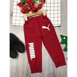 Combo 4 quần cotton.