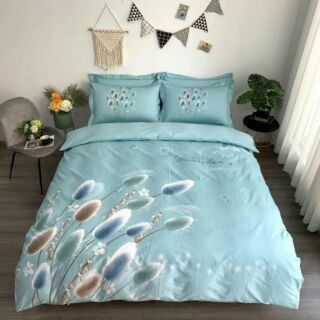 Set chăn ga gối cottong Hàn