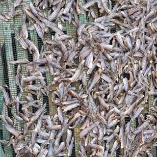 1KG KHÔ CÁ CHỐT NGUYÊN CON ĐẶC SẢN AN GIANG