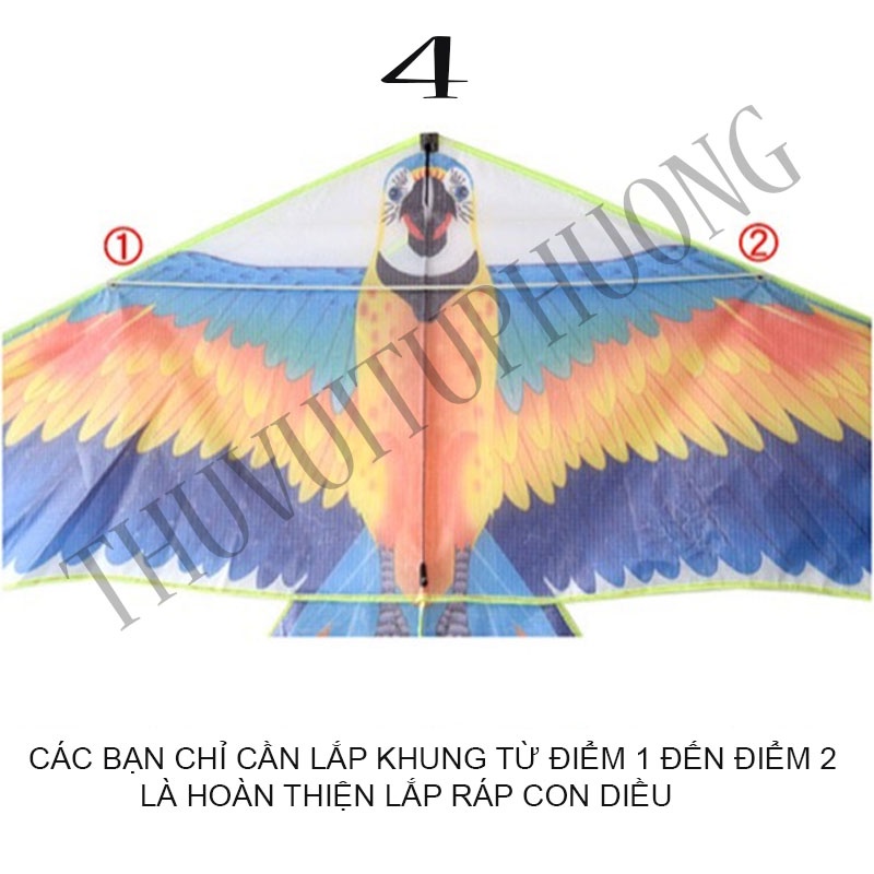 DIỀU VẸT-DIỀU HÌNH CON VẸT