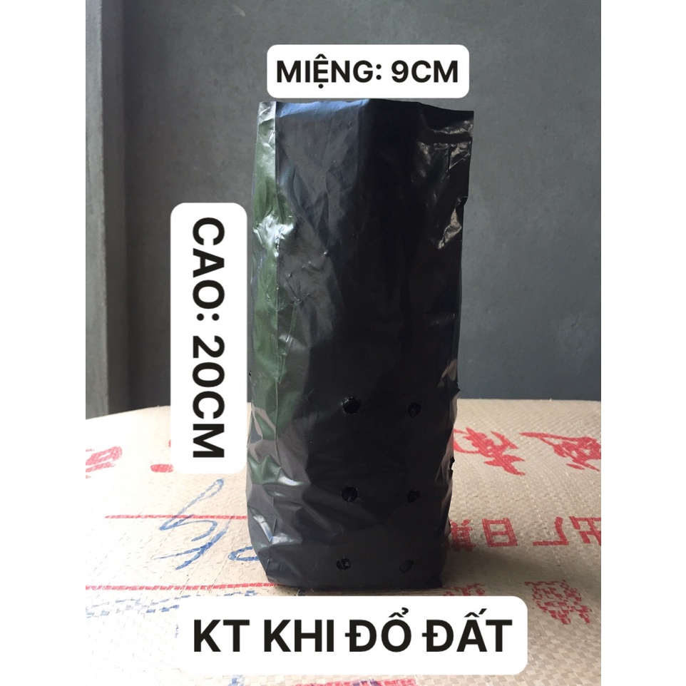 1KG TÚI ƯƠM CÂY MÃ 7*24 ( KÍCH RỄ, MẦM CÂY XANH LÁ, DỊCH TRUYỀN CHO CÂY, BẠT CỎ...)