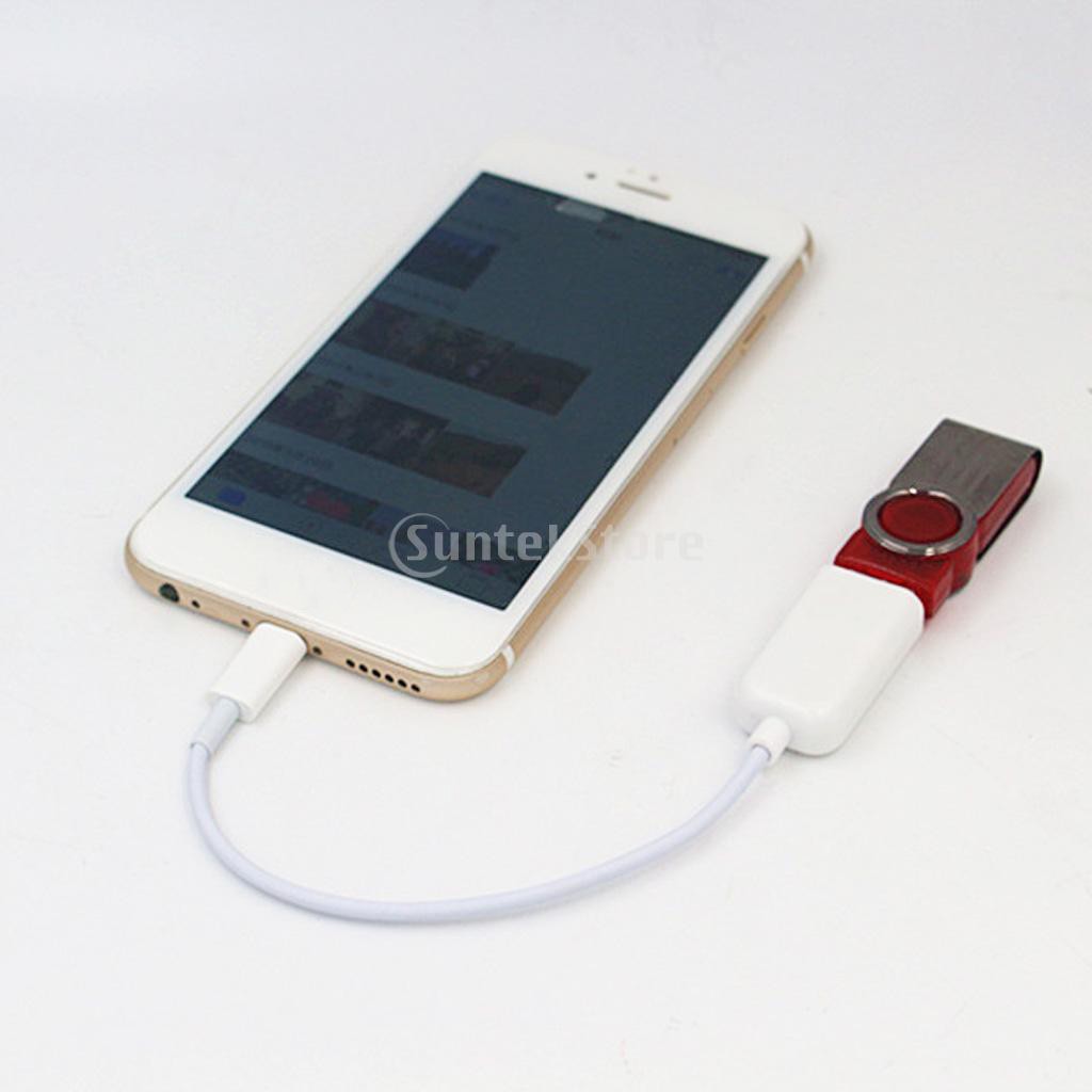 USB Female OTG Adapter Cable Connect Convert Lead for Ipad iPhone Below 10.3