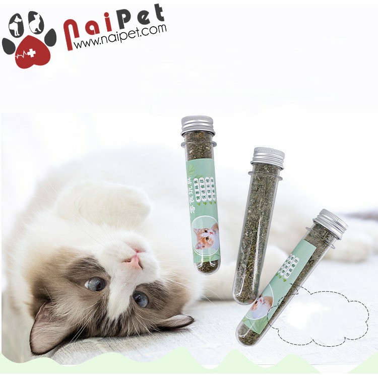 Cỏ Catnip Cỏ Bạc Hà Dạng Ống Cho Mèo Cat Min CCN008