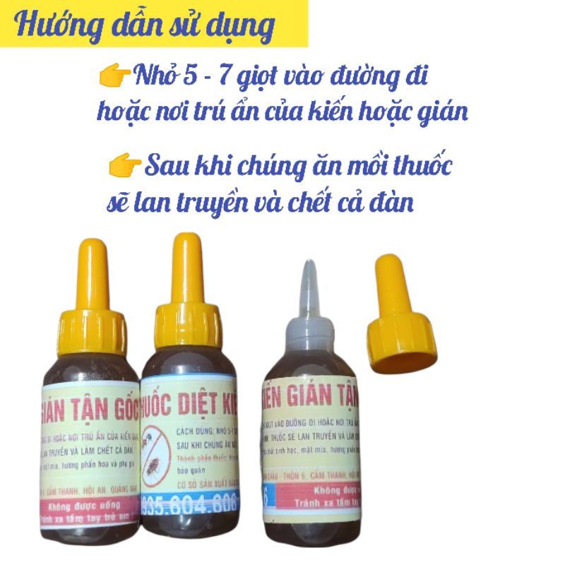 [ 02 chai ] Lọ dung dịch thuốc diệt kiến 10ml - Nước diệt gián tận gốc.