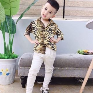 Sơ mi lụa 3d