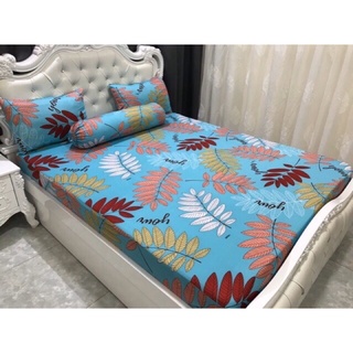Drap thun siêu lạnh