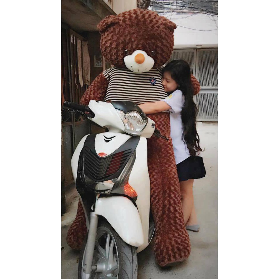 Gấu bông Teddy Cao Cấp khổ vải 2m Cao 1,8m màu nâu hàng VNXK - GB18