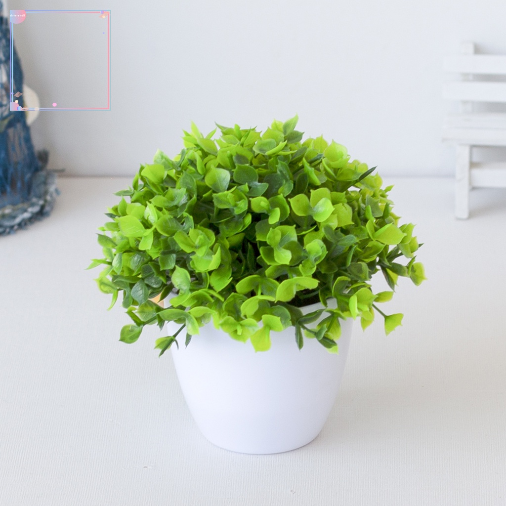 Chậu Cây Bonsai Bằng Nhựa Trang Trí Văn Phòng