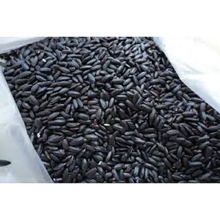 COMBO 2kg gạo nếp cẩm