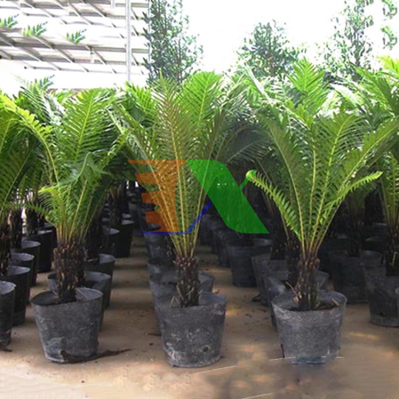 Combo 2000 cái Bầu nhựa ươm cây BHS, Bầu Hoa Sen (23*18cm)