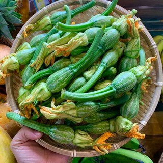 💓💥Hạt giống bí nụ lai F1 |🌟💥 Bí đậu ăn non gói 10gram💓