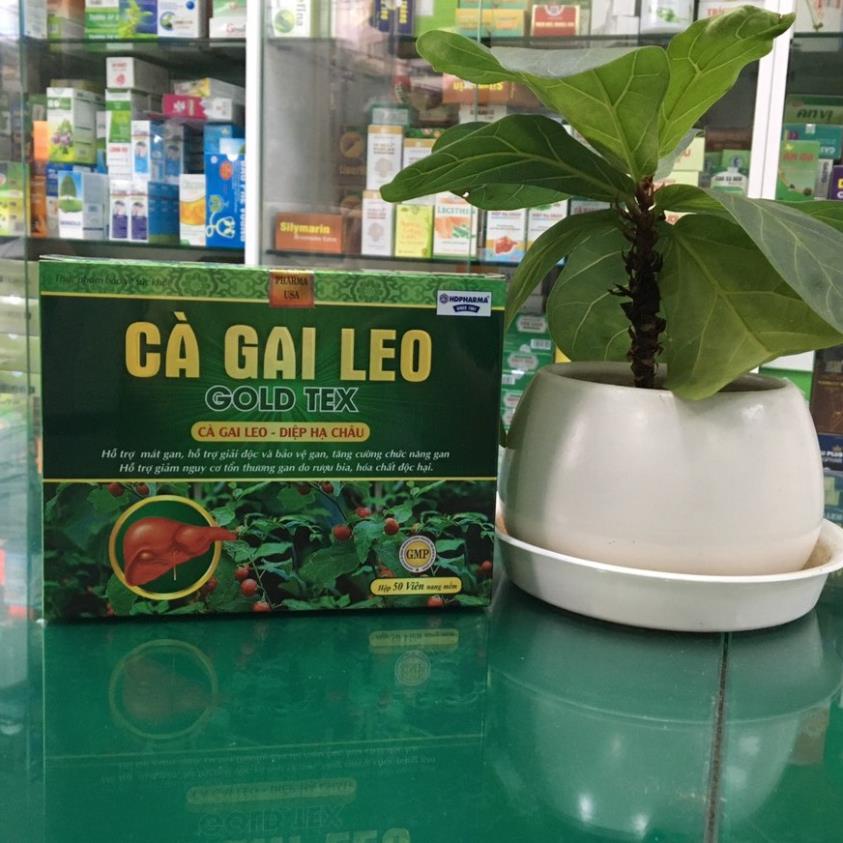 1 lọ Cà gai leo Gold tex - Tpbvsk hỗ trợ mát gan, giải độc gan, bảo vệ gan