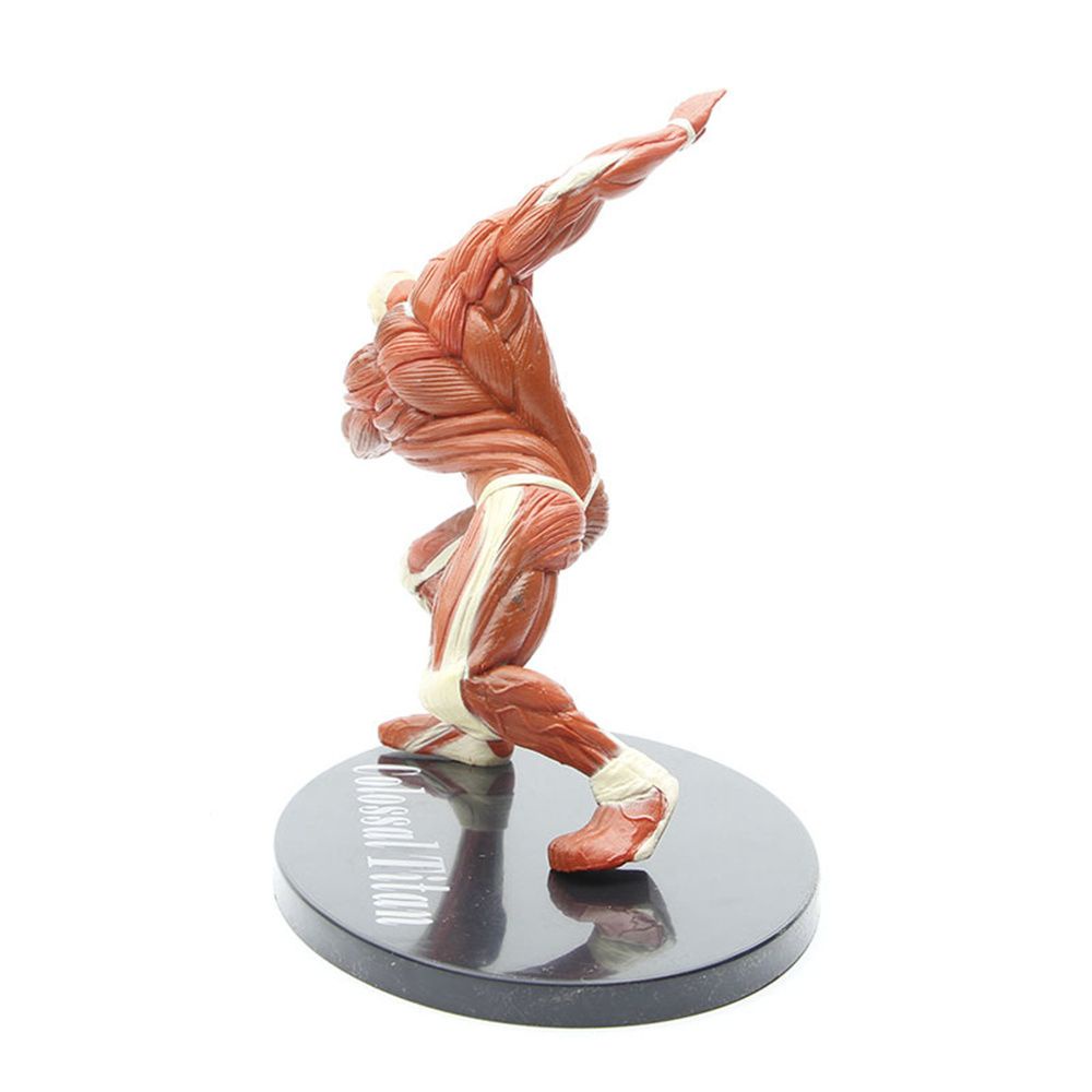 BRAUN Mô hình nhân vật Eren Jaeger trong Attack on Titan 16cm bằng PVC