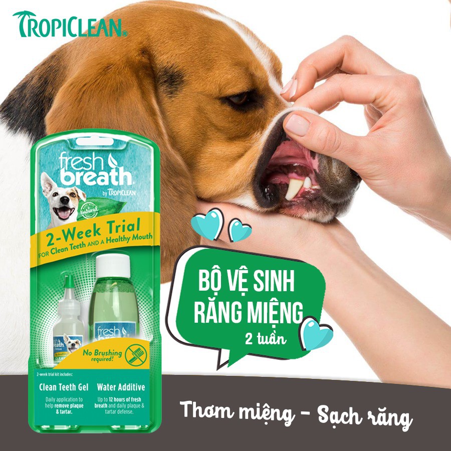 Bộ Mini Kit vệ sinh răng miệng cho chó Tropiclean Fresh breath 2-week trial