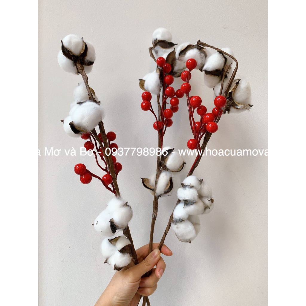 Cành Đào Đông Cherry Merber (Mơ &amp; Bơ) Loại Cành Quả Bông Gòn /Thông - Cành Khô Trang Trí Decor Giáng Sinh, Noel, Năm Mới