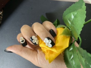 Hoa bột cúc nữa móng ôm móng