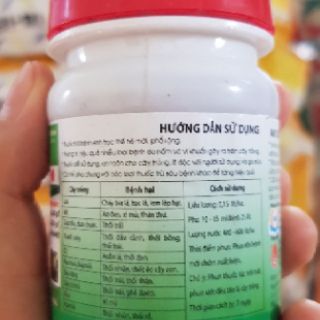 Sơ đen xì mũ thán thư trên cây mít