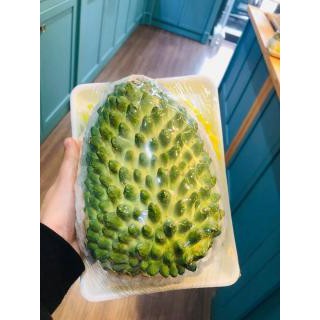 Cây Giống Na Sầu Riêng