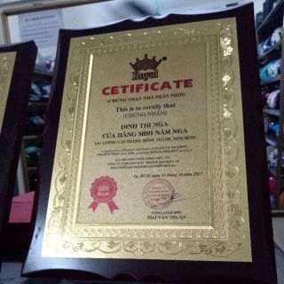 Kính Bubble Royal lắp mũ bảo hiểm 3/4