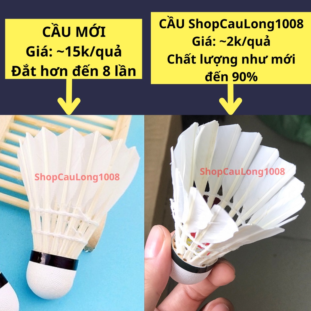 Quả/Trái cầu lông cũ tiêu chuẩn thi đấu, chất lượng mới 90%, dùng để tập luyện, giải trí