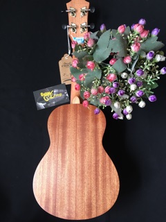 Đàn Ukulele Soprano CV-550 CB2