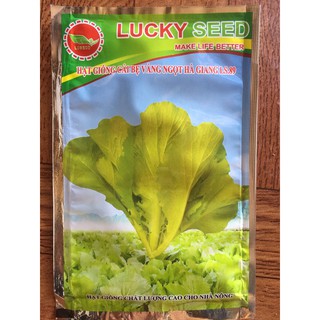 20g Hạt Giống Rau Cải Bẹ Vàng Ngọt Hà Giang Cao Sản