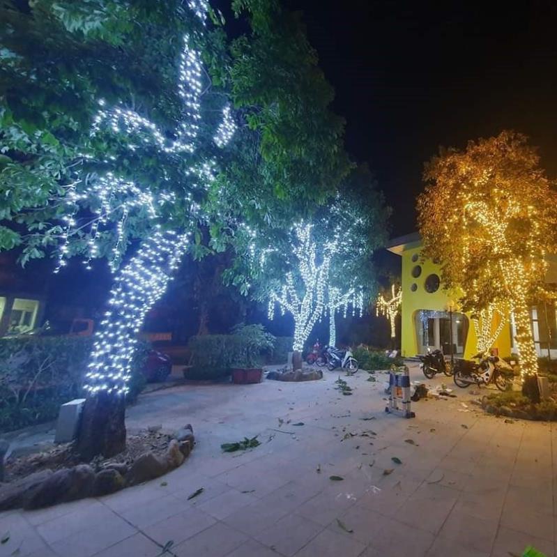 Dây Đèn Led 50m 40m 10m trang trí tết