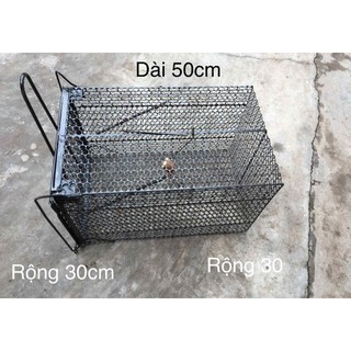 Bẫy lồng chuột, mèo, thú hoang