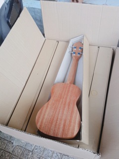 Đàn ukulele gỗ size concert