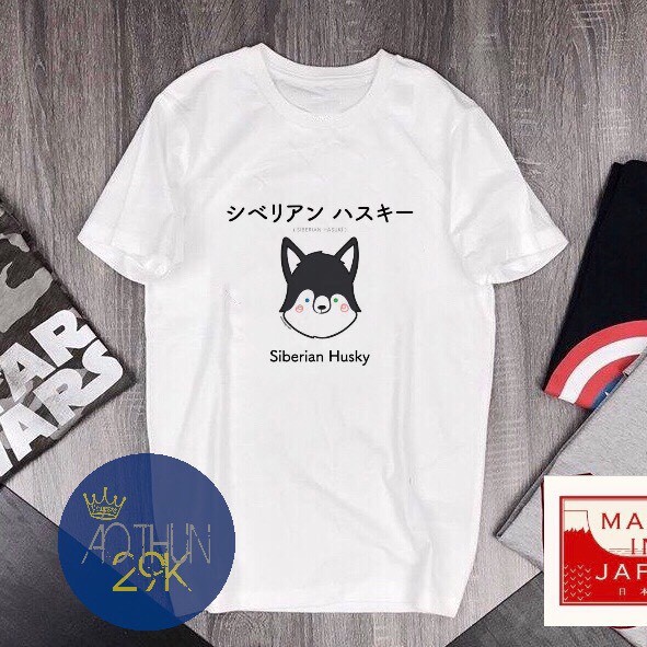 ALBUM 81 - BST ÁO THUN PHONG CÁCH KIỂU NHẬT BẢN DỄ THƯƠNG | BigBuy360 - bigbuy360.vn