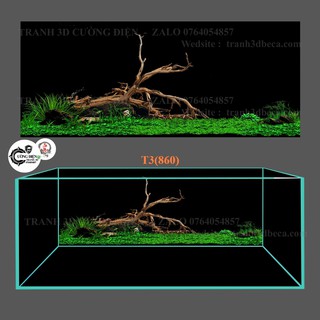 Tranh dán hồ cá 3d , hồ cá rồng , la hán , cá dĩa …