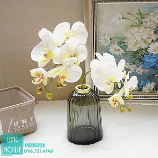 Hoa Giả Hoa Lụa - LAN HỒ ĐIỆP CAO CẤP Giống Thật