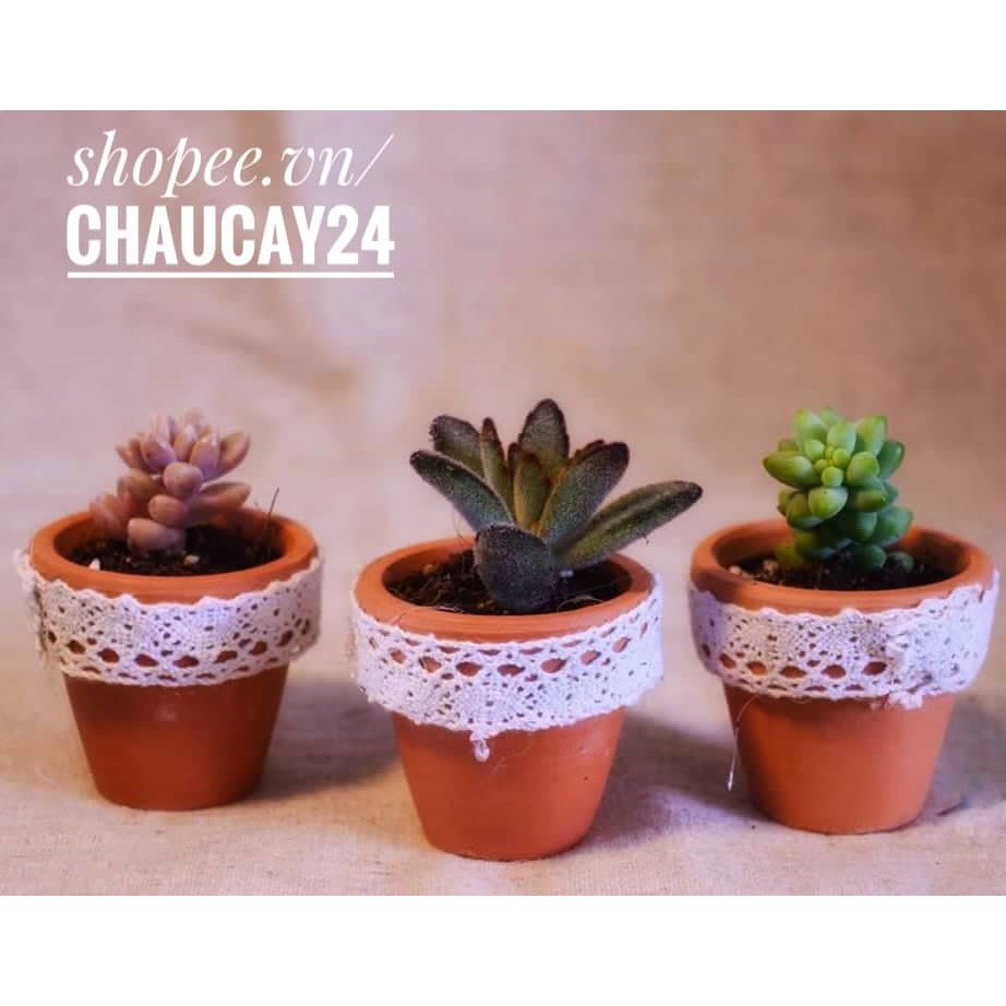 Chậu đất nung 10x8 cm (KÈM DĨA LÓT) trồng cây cảnh nội thất, cây mini, sen đá, xương rông