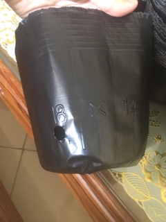 1kg bầu ươm cây size nhỡ