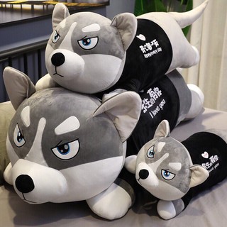 Gấu bông Chó husky, chó ngáo size 1M5 Gấu bông Chó mặc áo Siêu To Khổng Lồ - gối ôm chó Alaska vải nhung Hàn Quốc