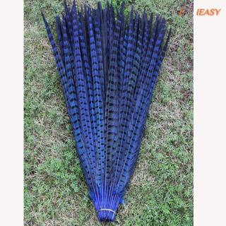 10 lông vũ nhiều màu 30-35cm